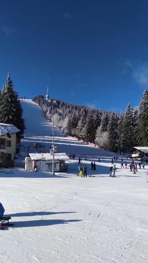 Appartamento Snow Dreams 1 Grand Monastery Pamporovo Esterno foto