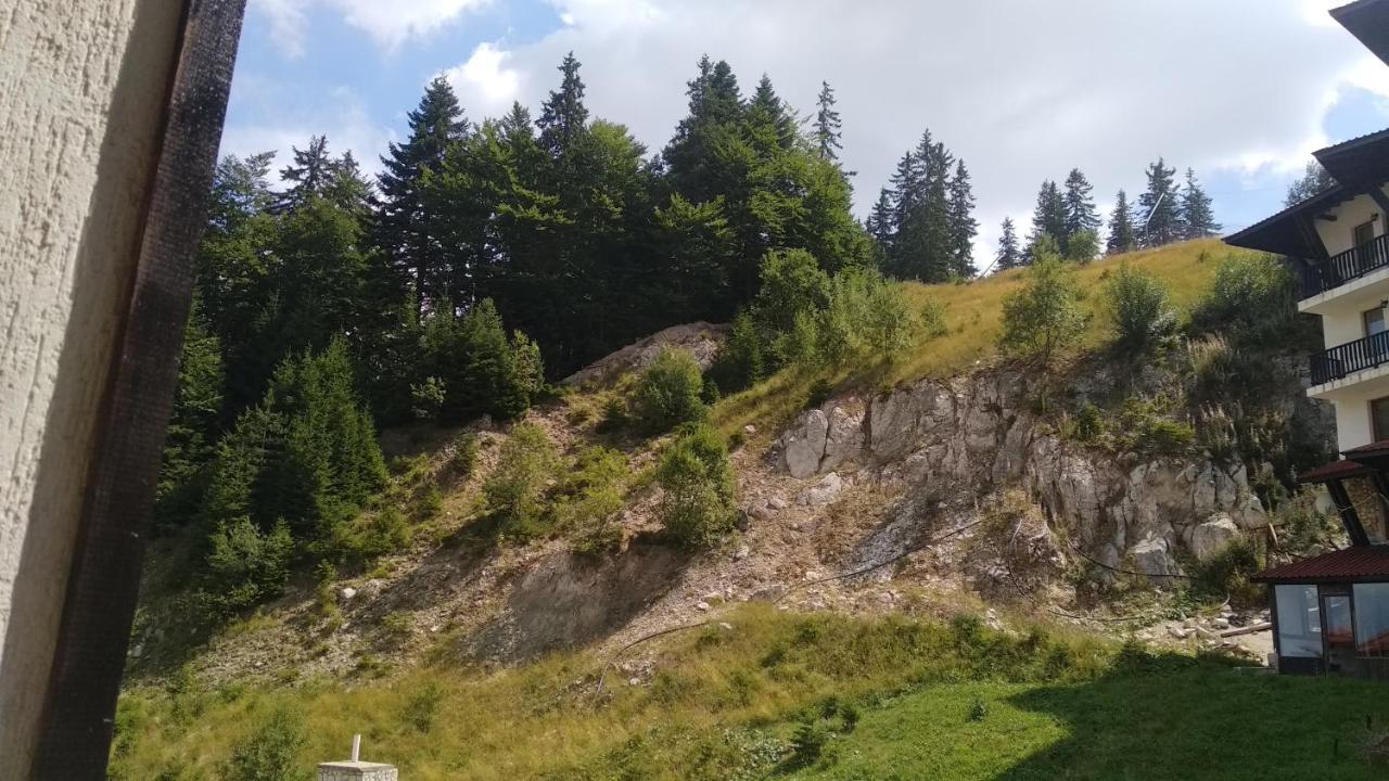 Appartamento Snow Dreams 1 Grand Monastery Pamporovo Esterno foto